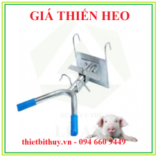 GIÁ ĐỠ THIẾN HEO