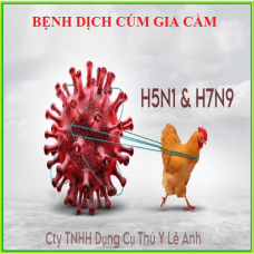 BỆNH DỊCH CÚM GIA CẦM VÀ PHƯƠNG PHÁP PHÁT HIỆN DỊCH BỆNH