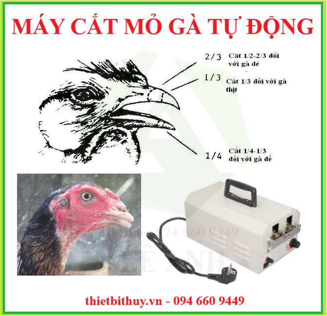 KÍCH THƯỚC CẮT MỎ GÀ - MÁY LÀ MỎ GÀ