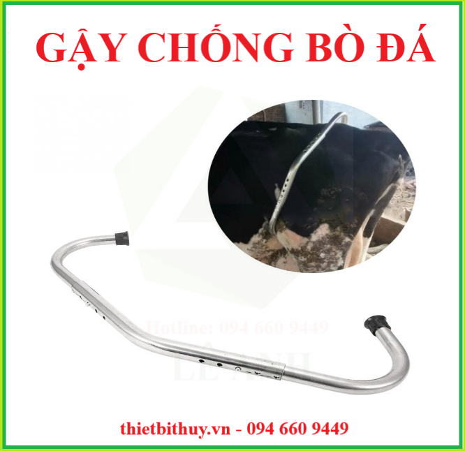 GẬY CHỐNG BÒ ĐÁ - DỤNG CỤ NUÔI BÒ - THIETBITHUY.VN