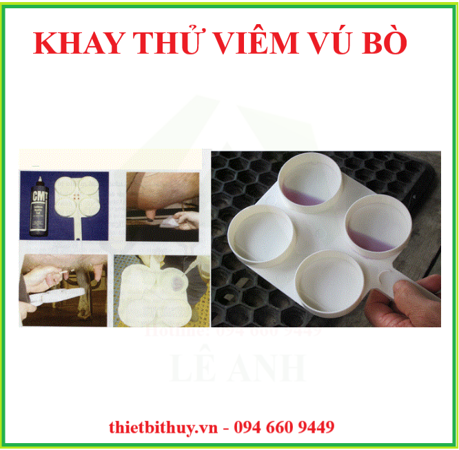 HƯỚNG DẪN ĐIỀU TRỊ VIÊM VÚ BÒ - THIETBITHUY.VN