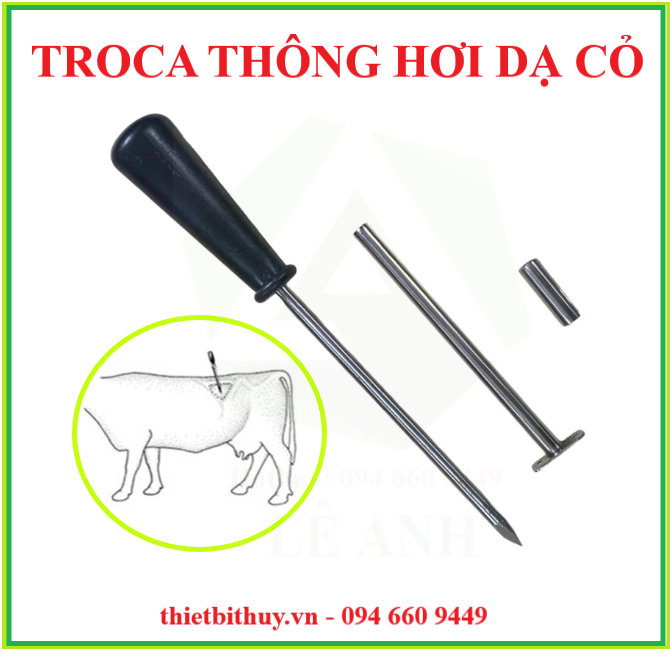 TROCA THÔNG HƠI DẠ CỎ BÒ - THƯỚC ĐO THỂ TRỌNG BÒ