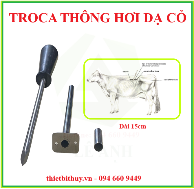 TROCA 15CM - THÔNG HƠI DẠ CỎ BÒ - THIETBITHUY.VN