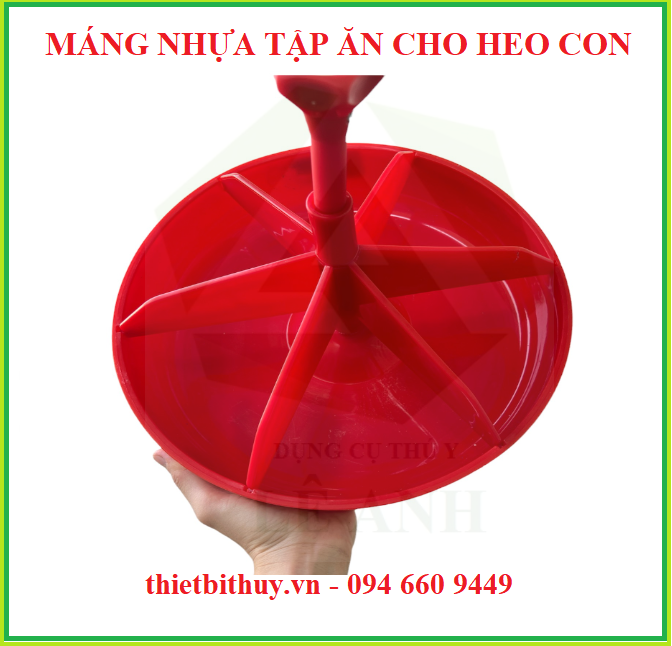 máng tập ăn heo con