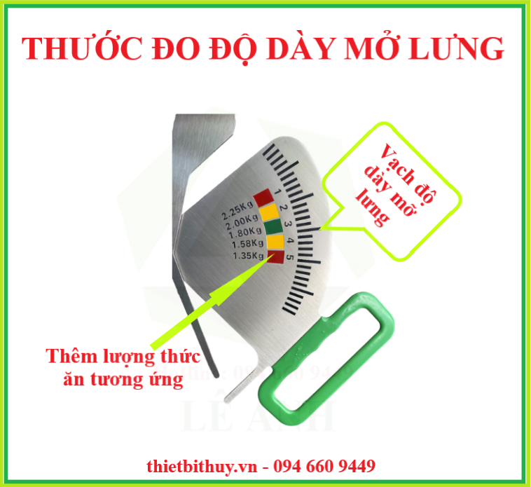 THƯỚC ĐO MỠ LƯNG HEO - ĐAI PHỐI TINH HEO - THIETBITHUY.VN